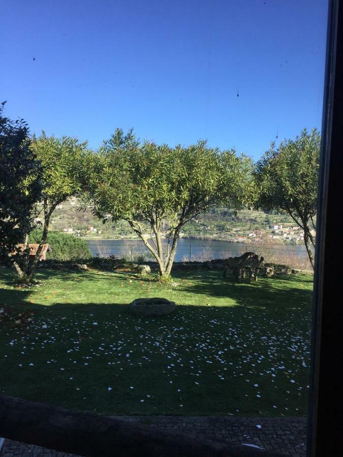 Quinta Da Ventuzela Hotel Cinfães Eksteriør billede